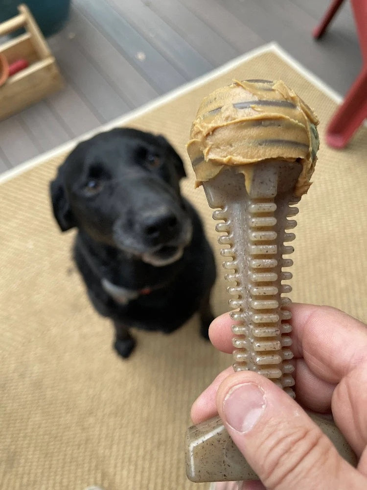 SodaPup Nylon Dental Tower Dog Chew Toy