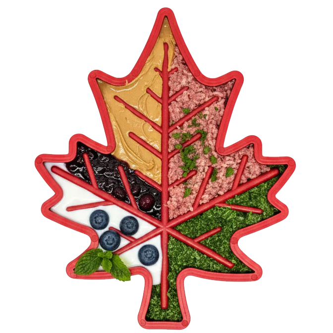 SodaPup Maple Leaf Red
