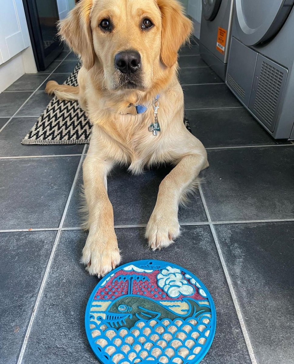 SodaPup eMat Enrichment Lick Mat Whale with Suction Cups Blue 8"