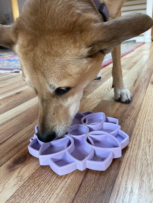 SodaPup Mandala Softie eTray Enrichment Feeder for Dogs Pastel Purple 8"