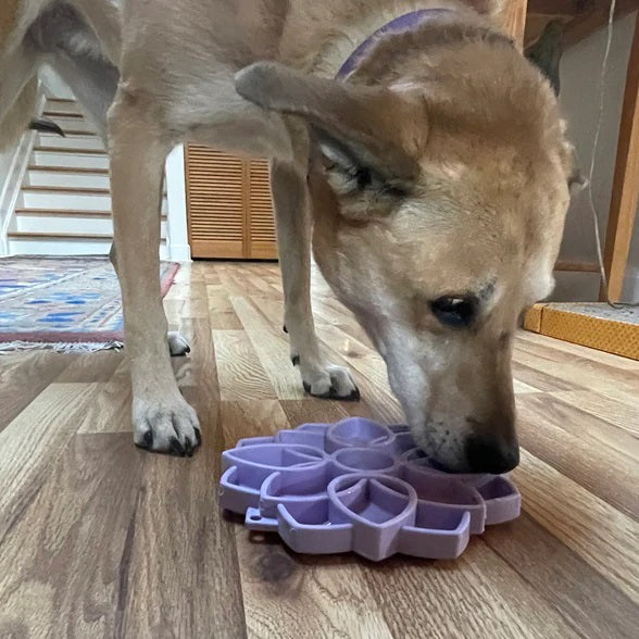 SodaPup Mandala Softie eTray Enrichment Feeder for Dogs Pastel Pink 8"