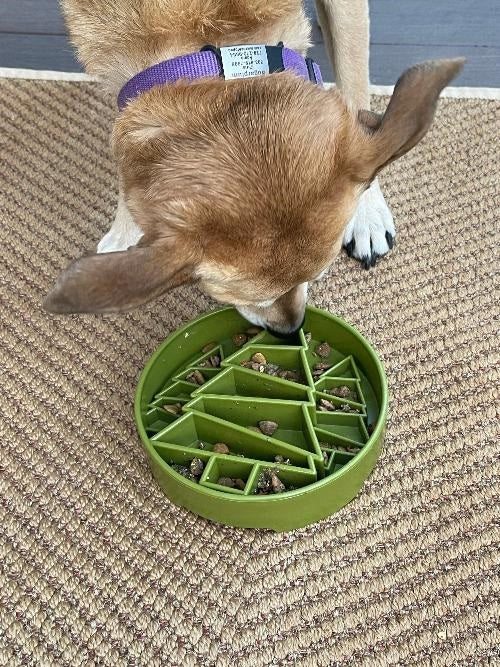 SodaPup Pine Trees eBowl Enrichment Slow Feeder Bowl Green 8"