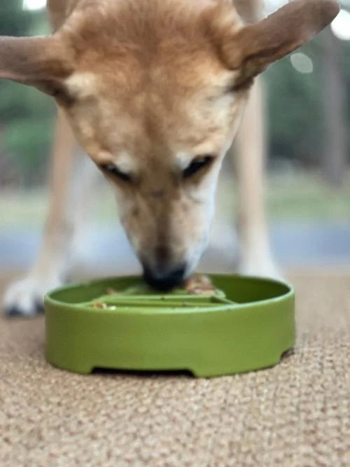 SodaPup Pine Trees eBowl Enrichment Slow Feeder Bowl Green 8"