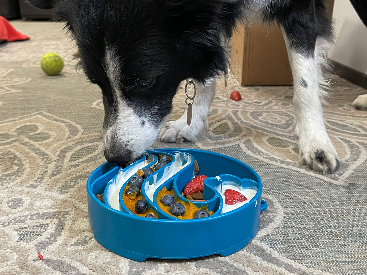 SodaPup Wave eBowl Enrichment Slow Feeder Bowl Blue 8"