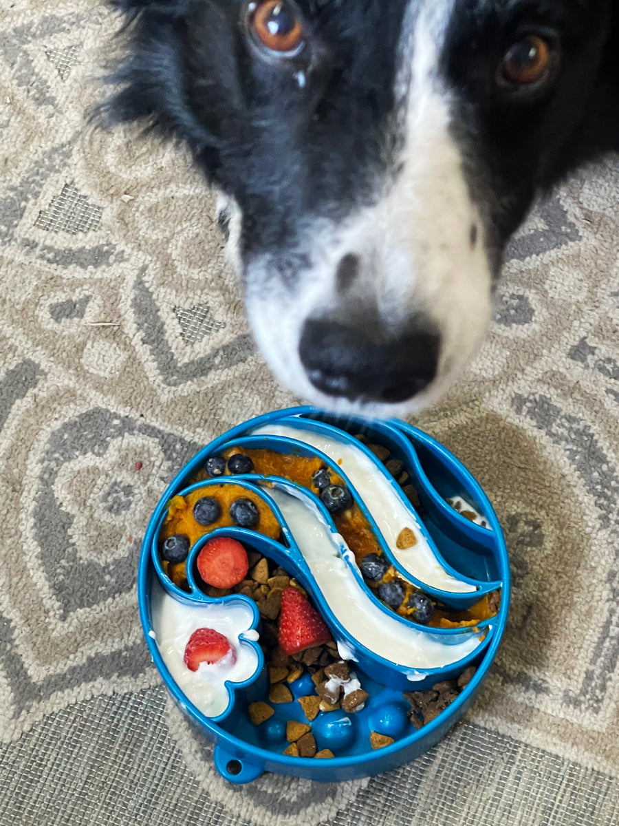 SodaPup Wave eBowl Enrichment Slow Feeder Bowl Blue 8"