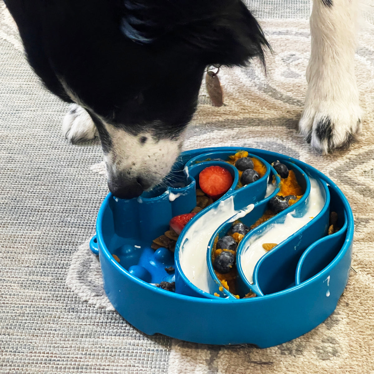 SodaPup Wave eBowl Enrichment Slow Feeder Bowl Blue 8"