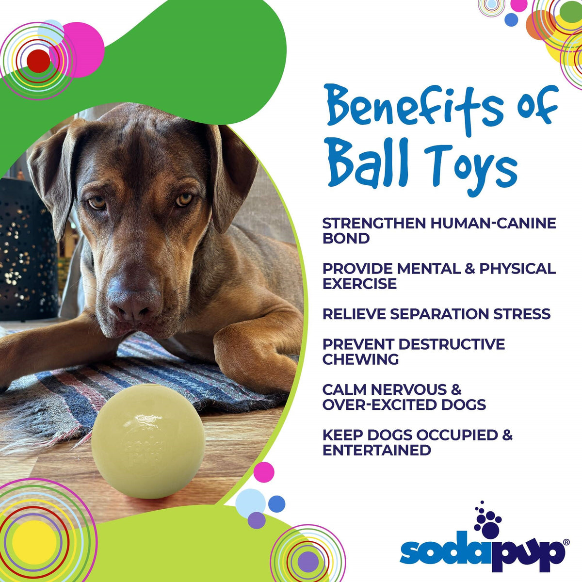 SodaPup PUP-X Squeaker Ball Dog Fetch Toy Blue Medium