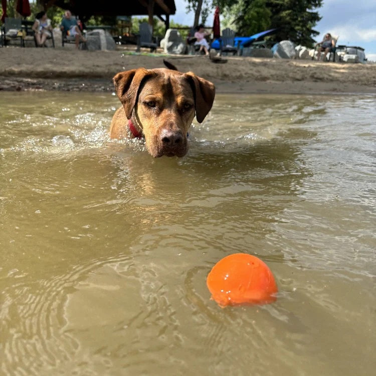 SodaPup PUP-X Squeaker Ball Dog Fetch Toy Orange Medium