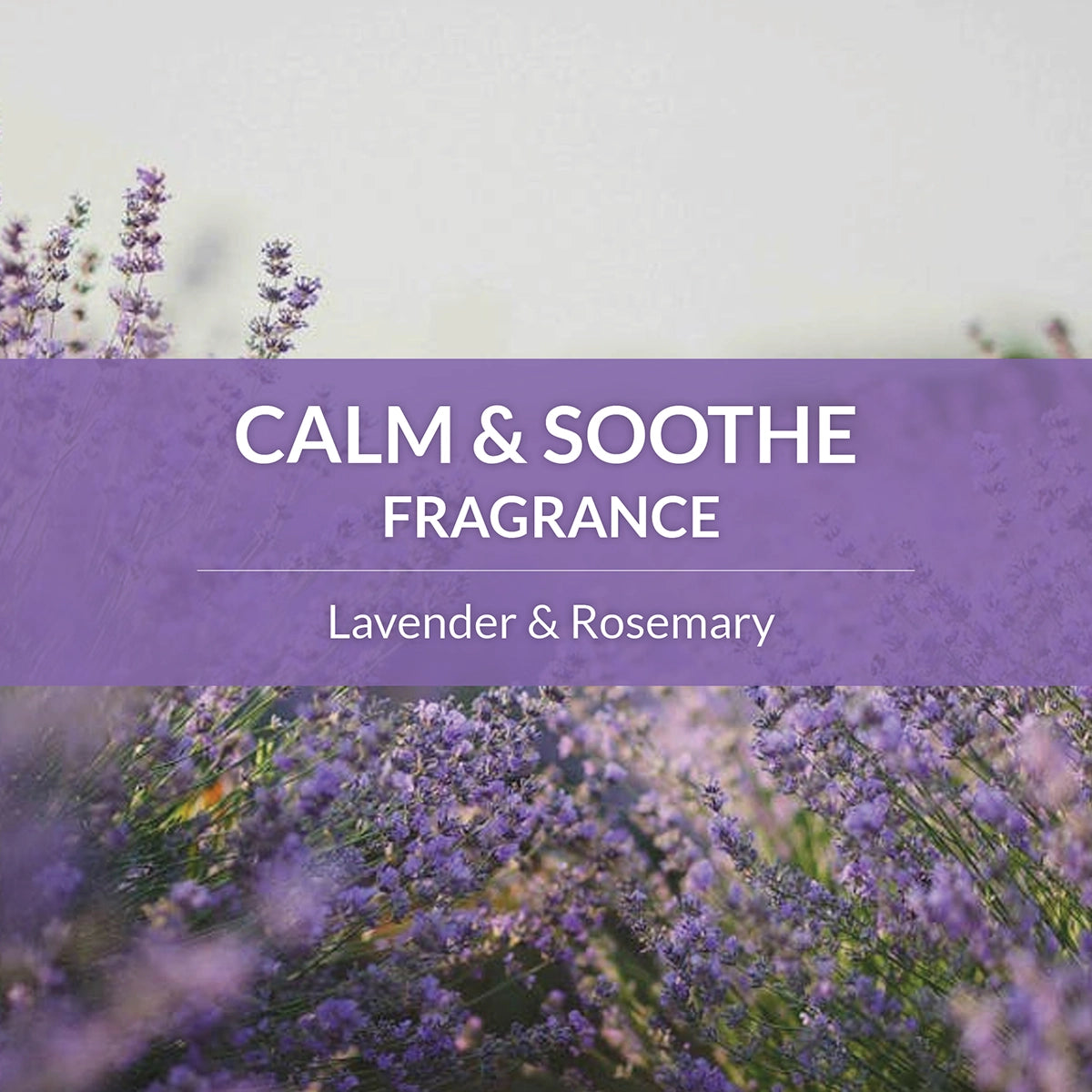 Skout's Honor Probiotic Daily Use Deodorizer Lavender 8oz