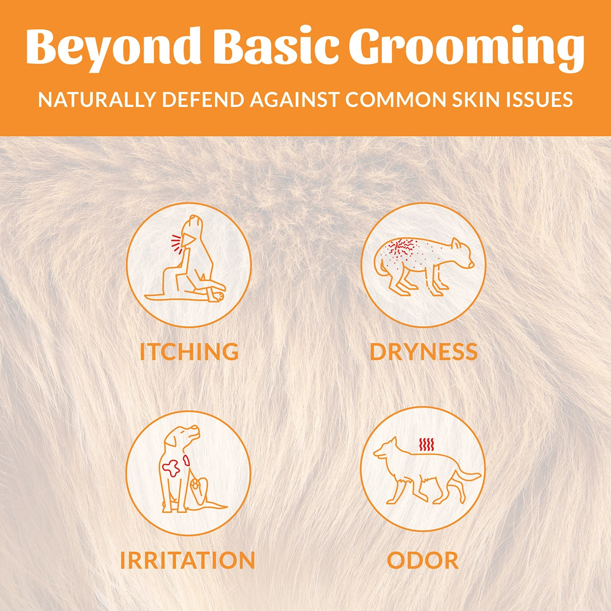 Skout's Honor Probiotic Shampoo + Conditioner Honeysuckle 16 oz