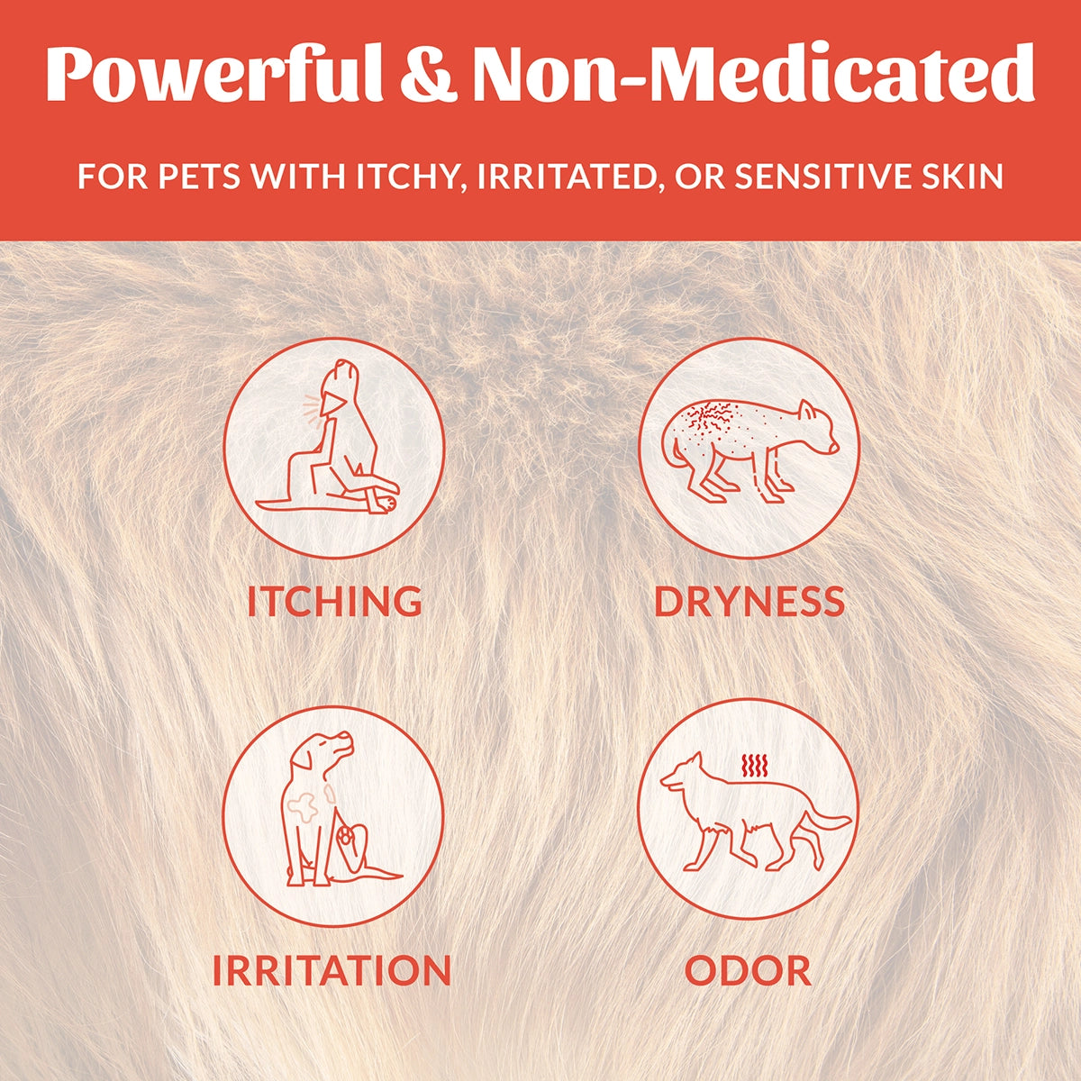 Skout's Honor Probiotic Itch Relief 8 oz