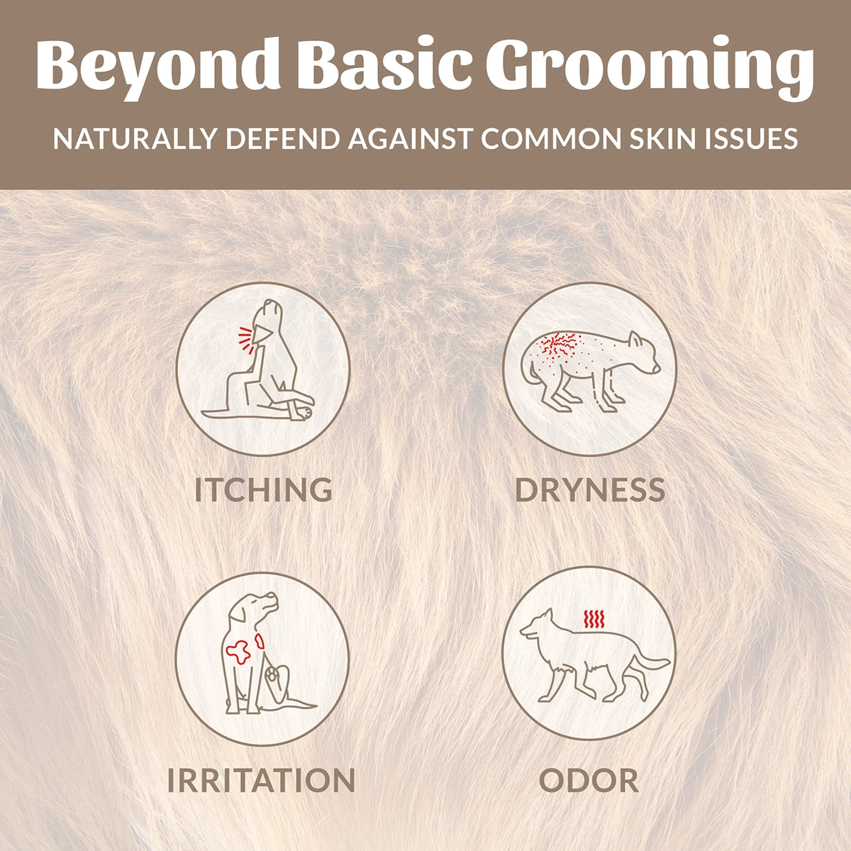 Skout's Honor Probiotic Shampoo + Conditioner Dog of the Woods 16 oz