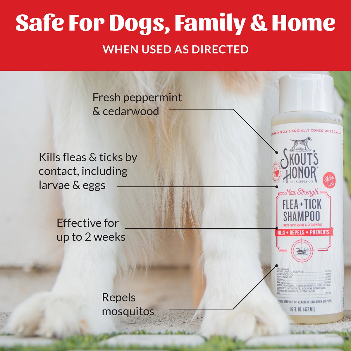 Skout's Honor Flea + Tick Shampoo 16oz