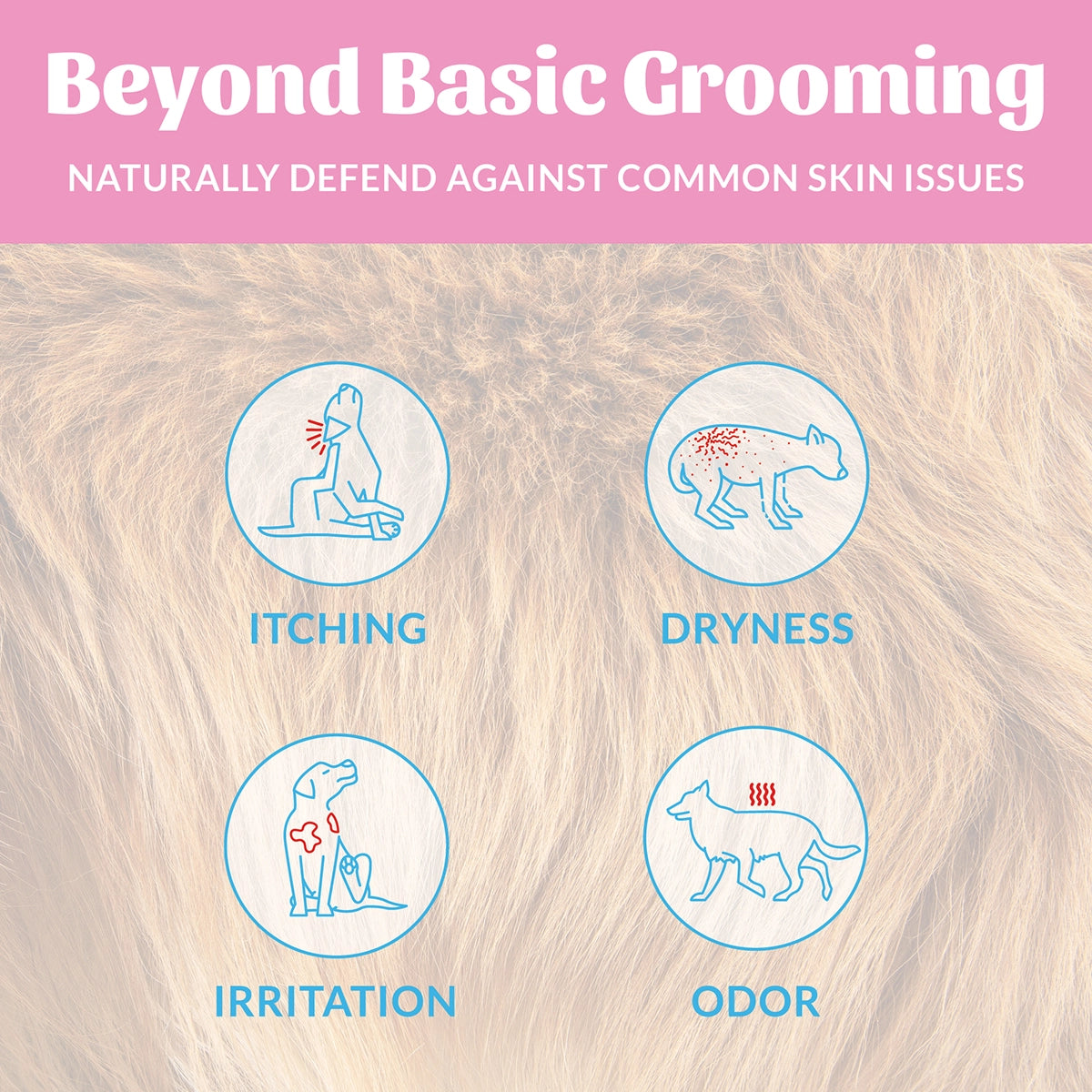 Skout's Honor Probiotic Daily Use Deodorizer Happy Puppy 8 oz