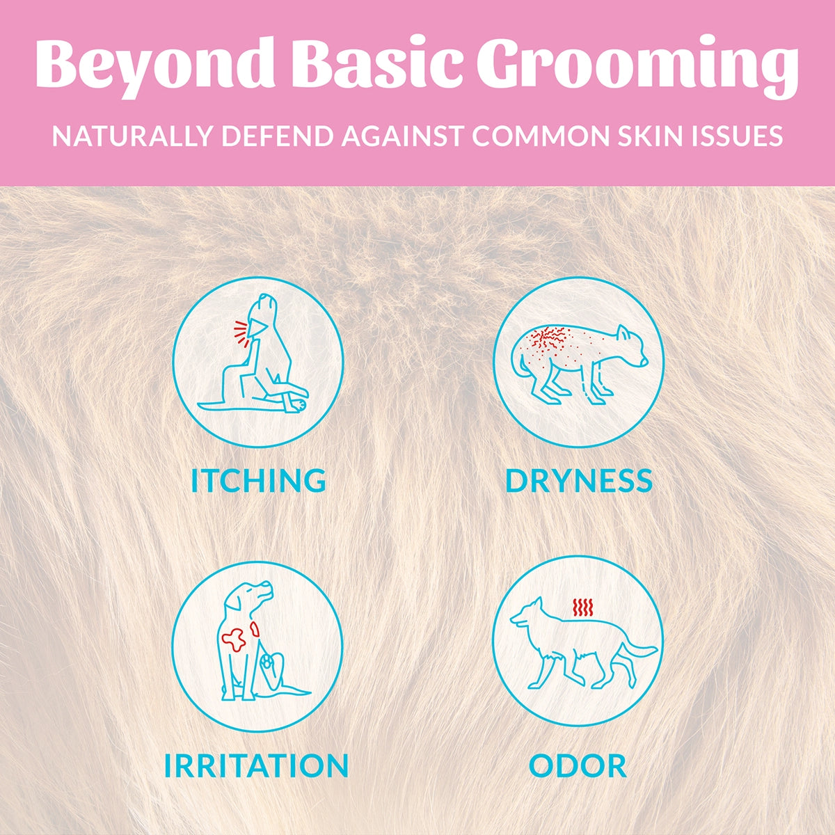 Skout's Honor Probiotic Shampoo + Conditioner Happy Puppy 16 oz