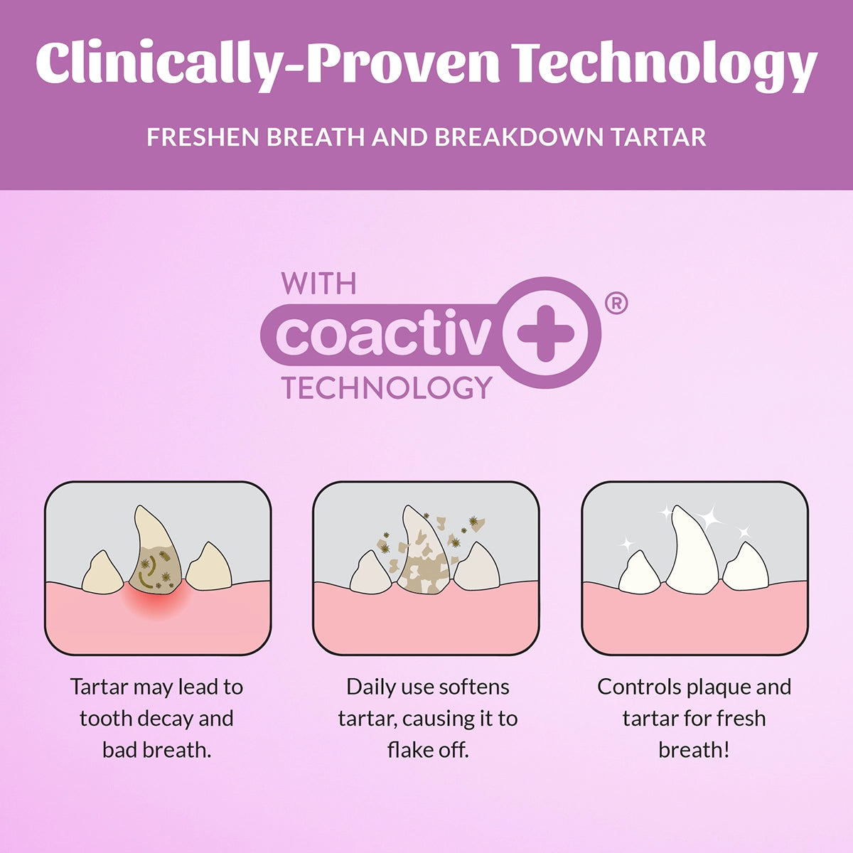 Skout's Honor Oral Care Pet Dental Wipes 50ct