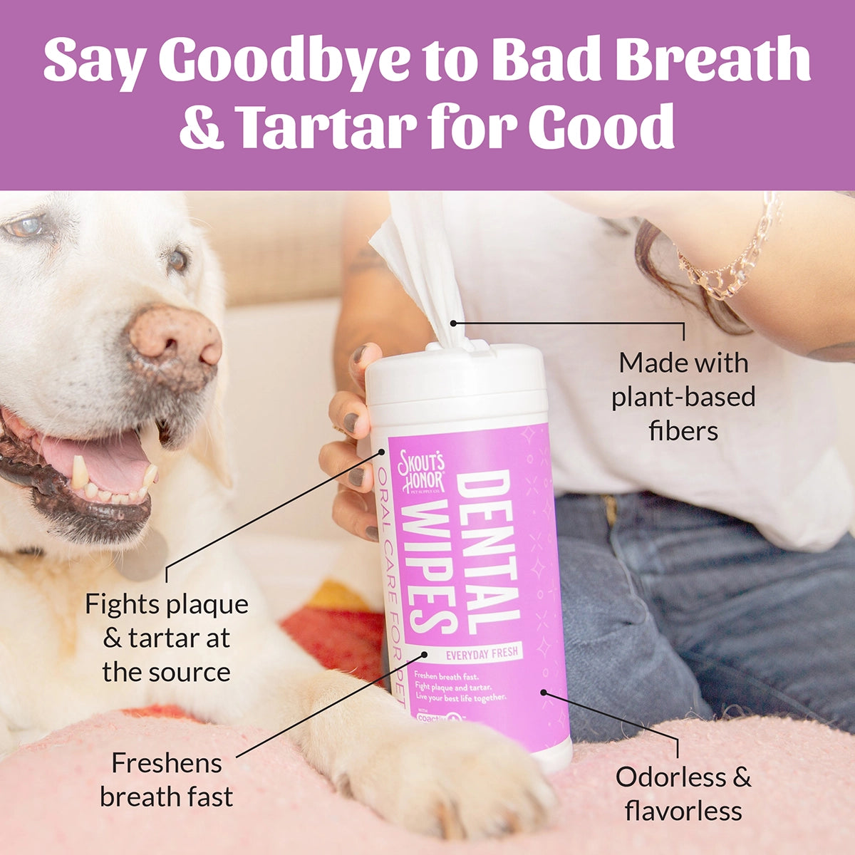 Skout's Honor Oral Care Pet Dental Wipes 50ct