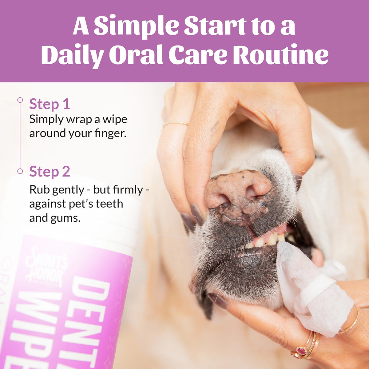 Skout's Honor Oral Care Pet Dental Wipes 50ct