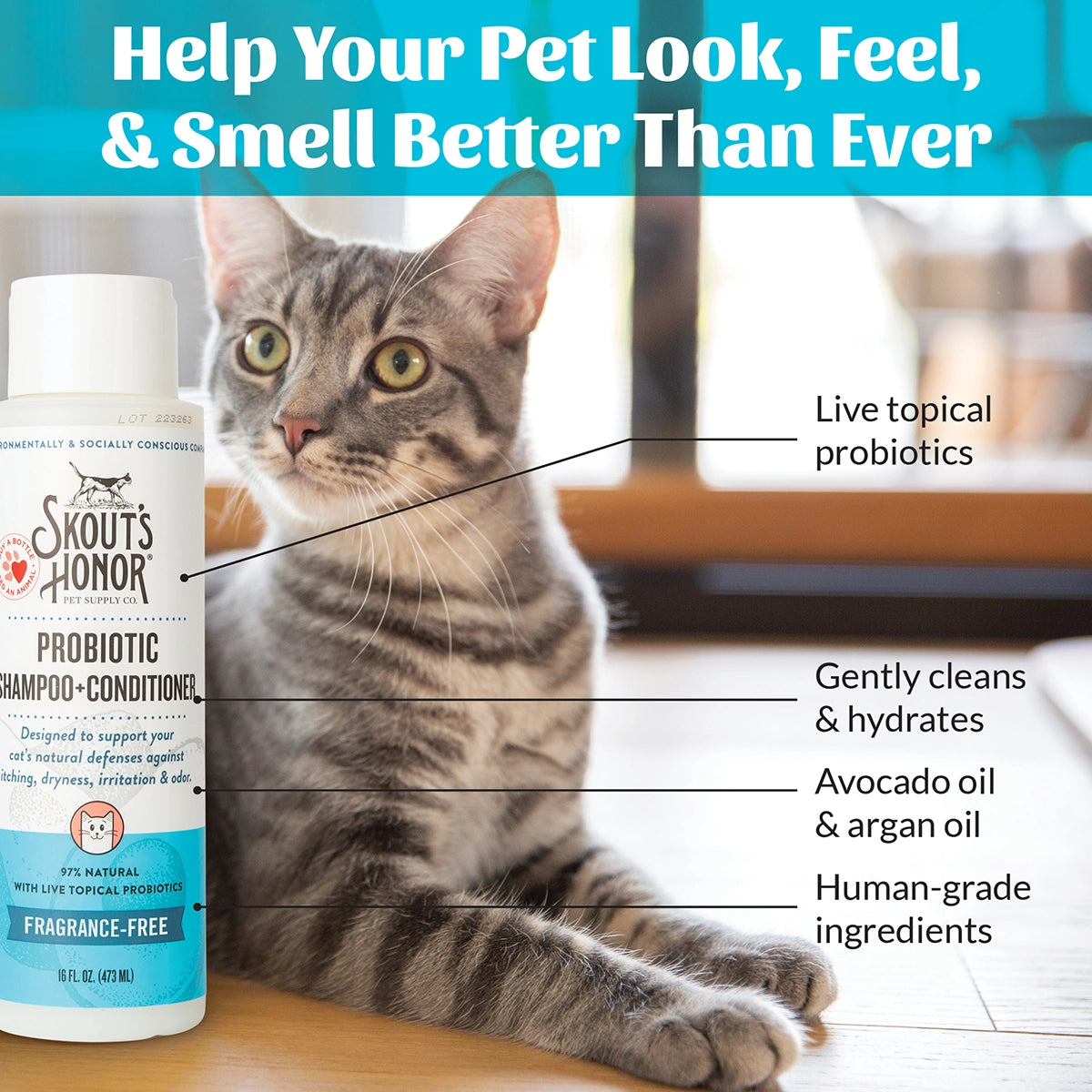 Skout's Honor Cat Probiotic Shampoo + Conditioner Fragrance-Free 16oz