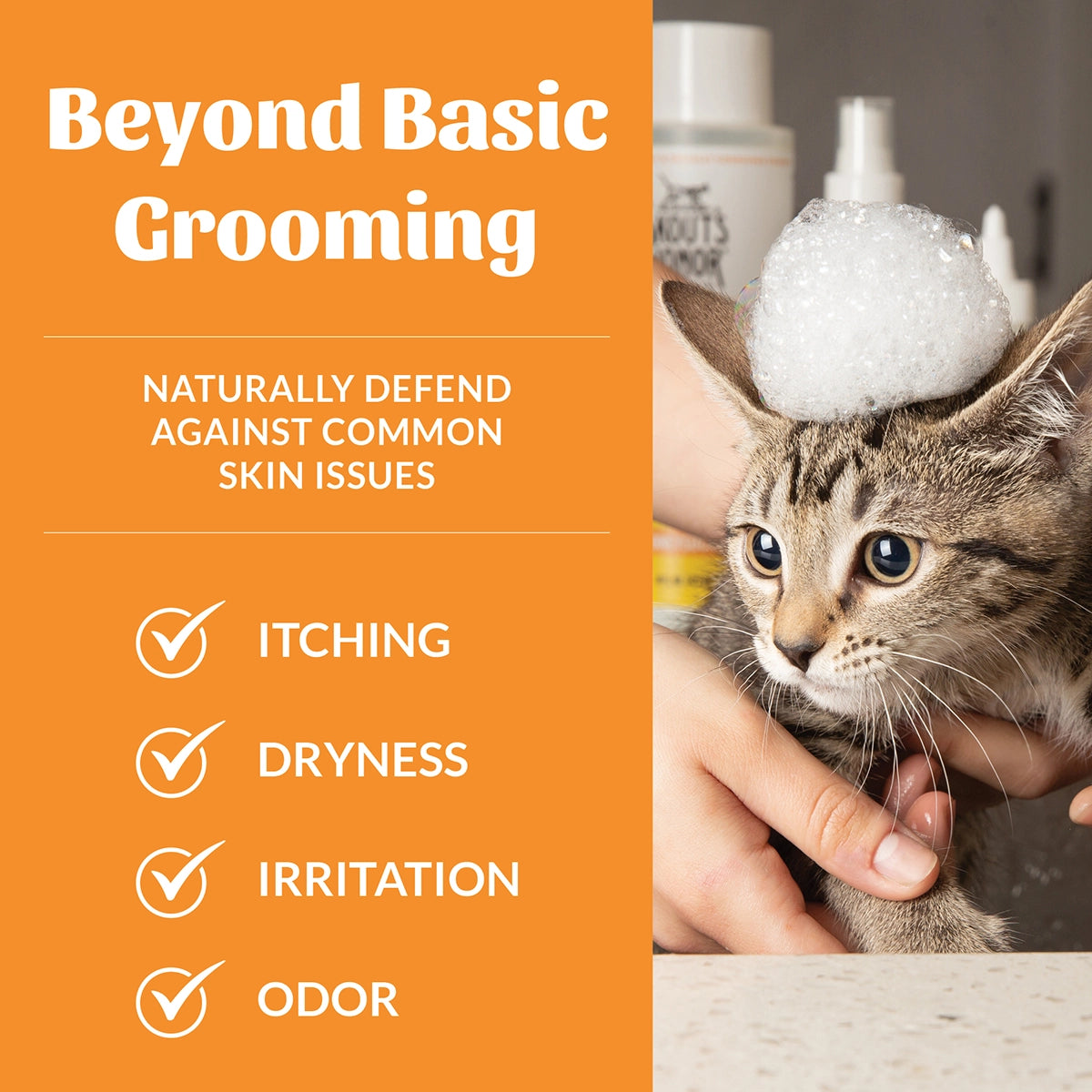 Skout's Honor Cat Probiotic Shampoo + Conditioner Honeysuckle 16oz