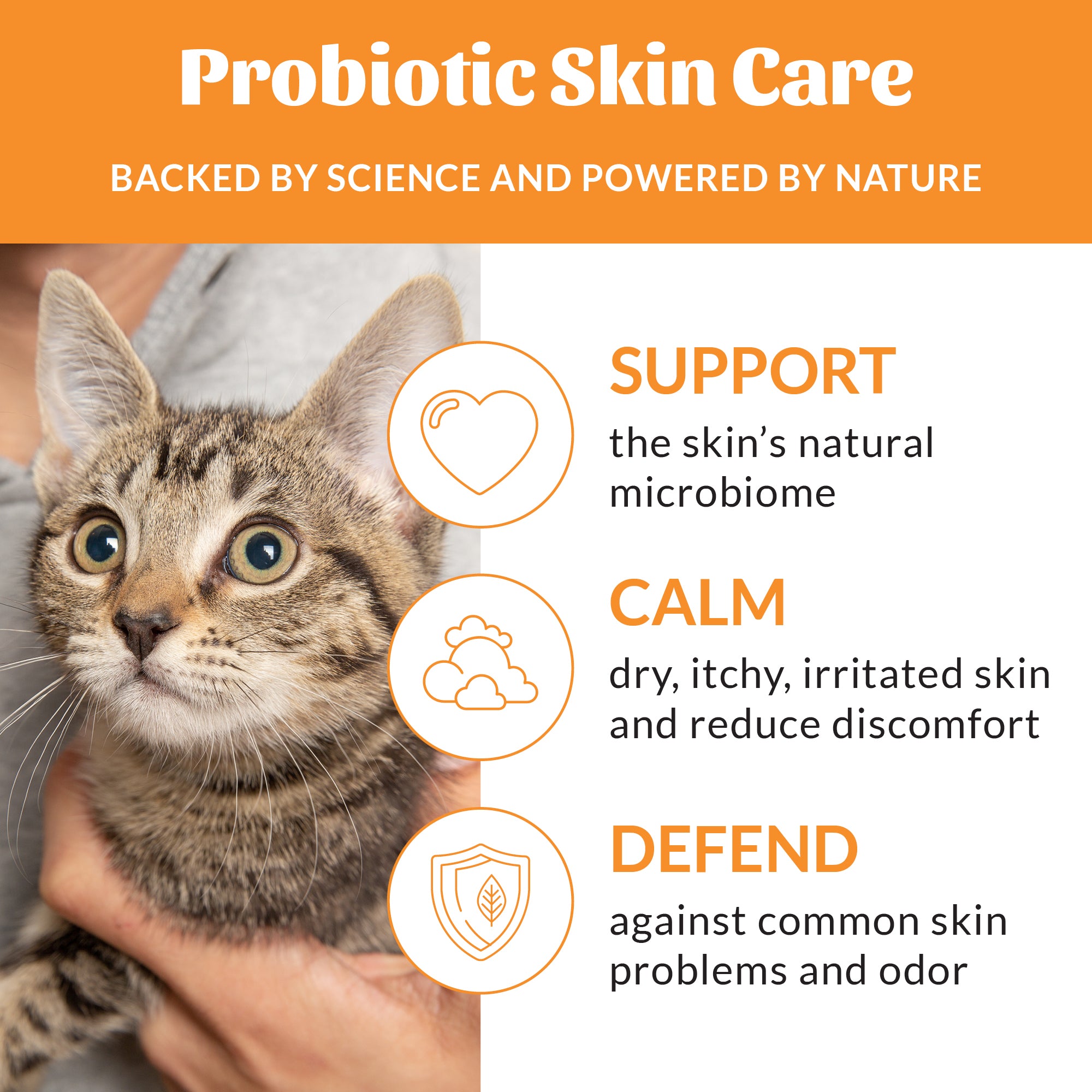 Skout's Honor Cat Probiotic Shampoo + Conditioner Honeysuckle 16oz