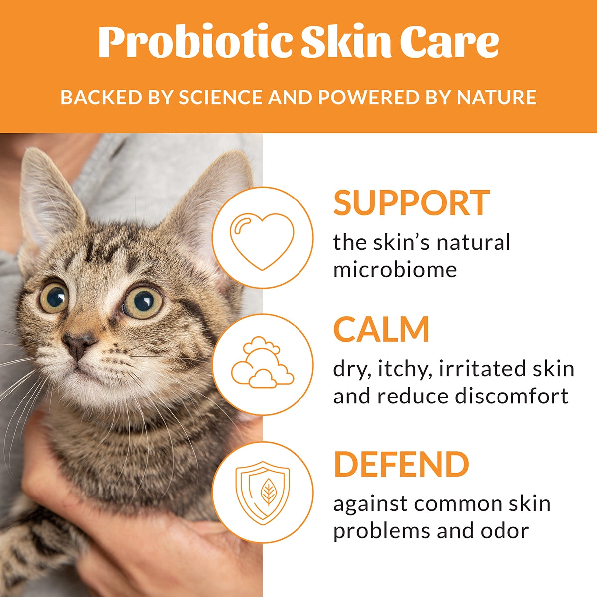 Skout's Honor Cat Probiotic Shampoo + Conditioner Honeysuckle 16oz