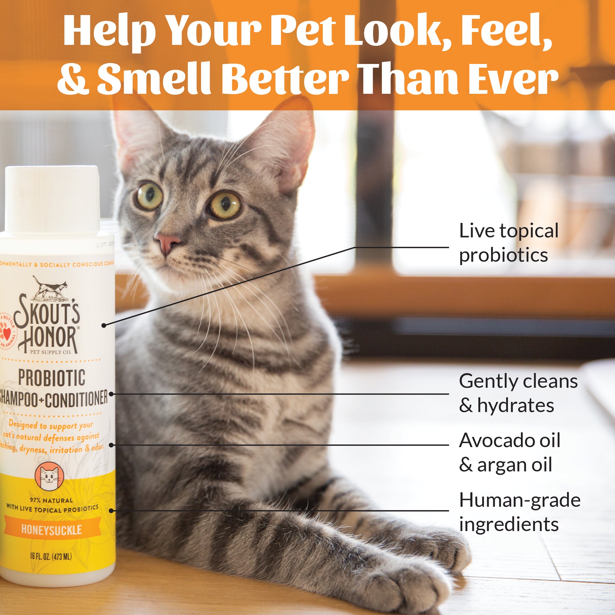 Skout's Honor Cat Probiotic Shampoo + Conditioner Honeysuckle 16oz