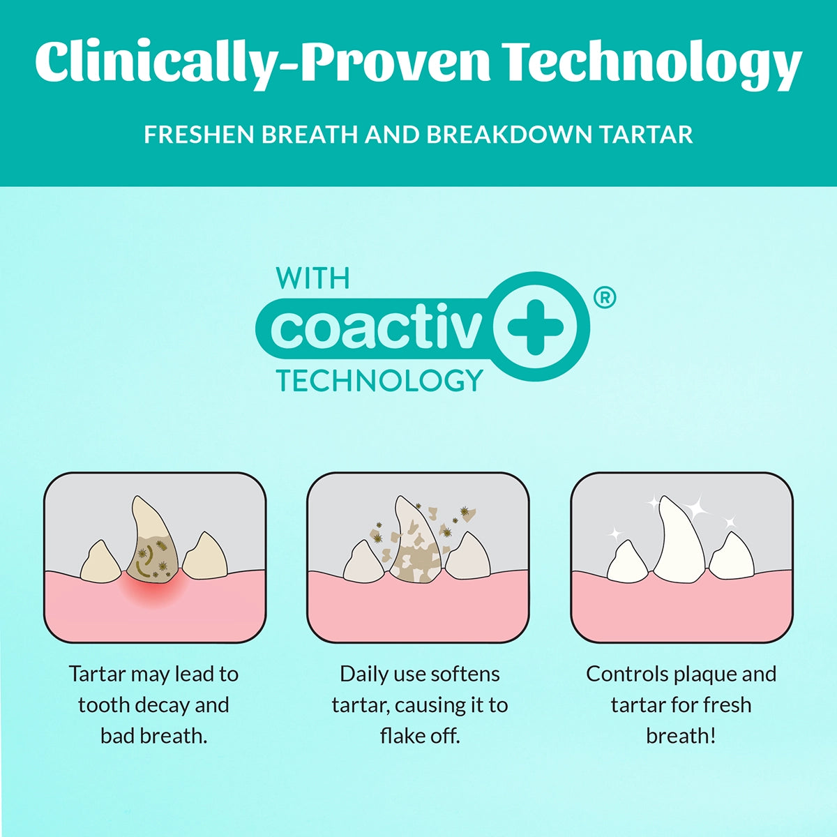 Skout's Honor Oral Care Water Additive: Fresh & Flavorless 32oz