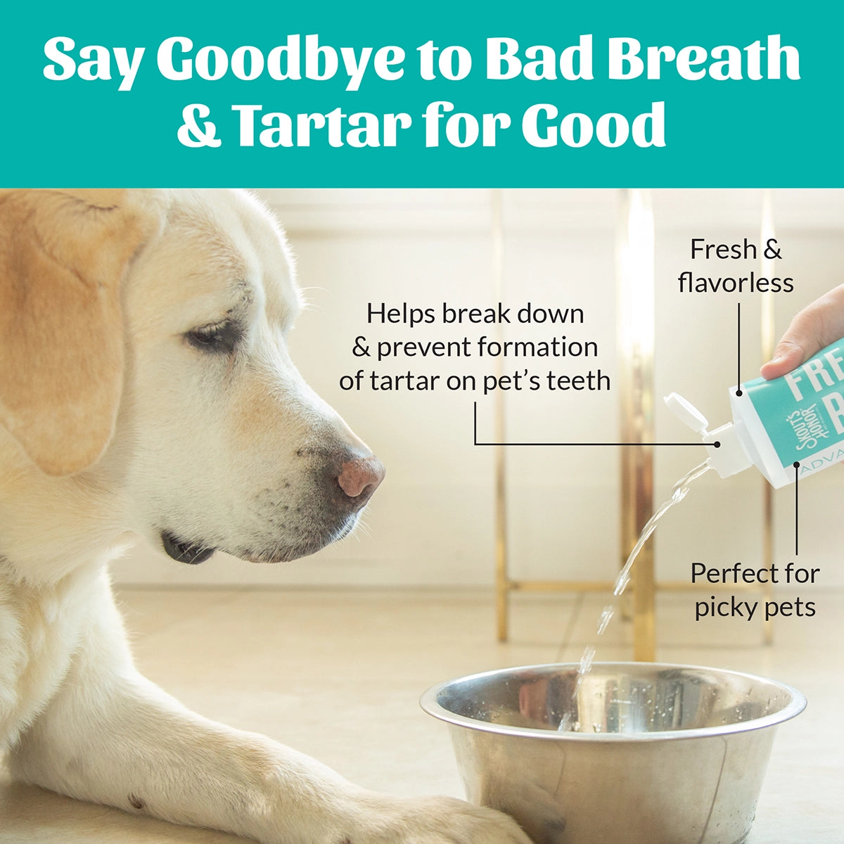 Skout's Honor Oral Care Water Additive: Fresh & Flavorless 32oz