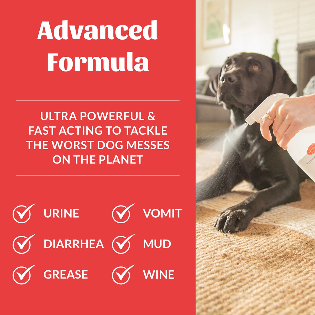 Skout's Honor Severe Mess Stain & Odor - Advanced Formula (Dog) 35oz