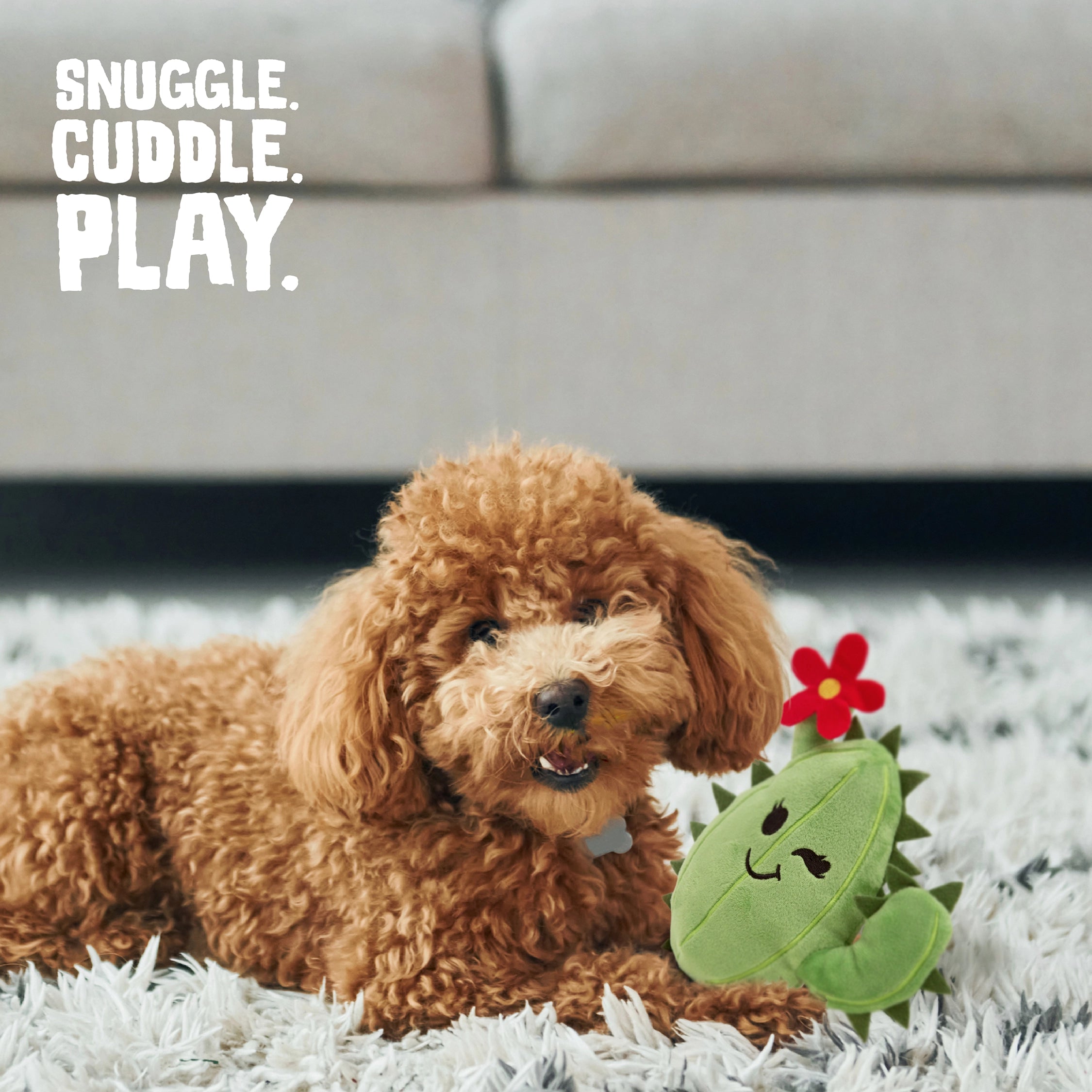 SnugArooz Chloe the Cactus Plush Dog Toy 6"