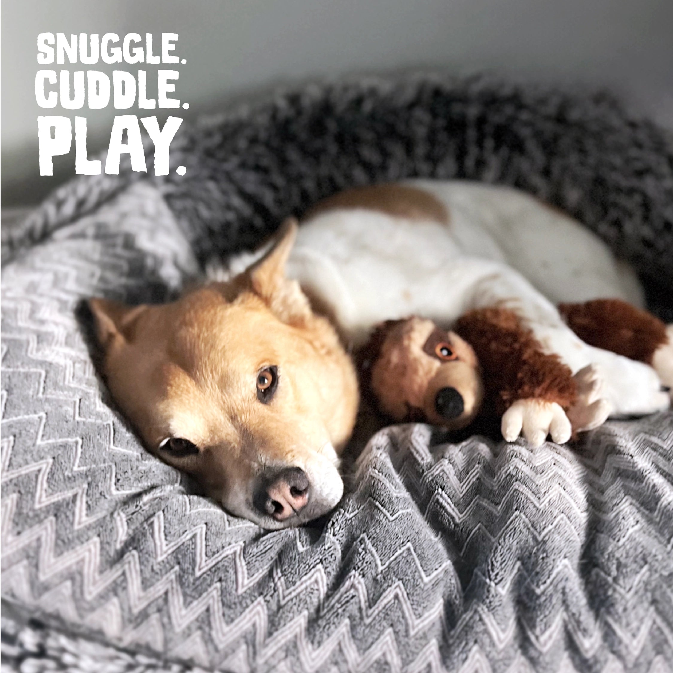 SnugArooz Sasha the Sloth Plush Dog Toy 11"