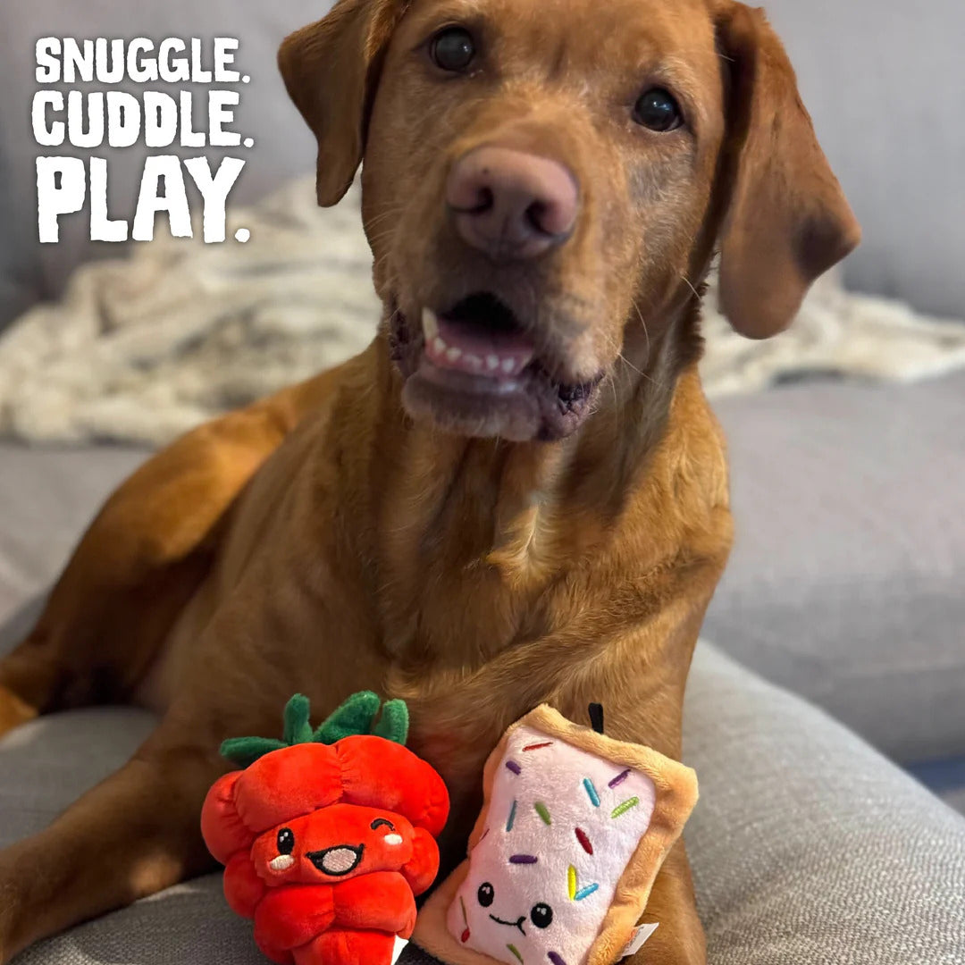 SnugArooz Poptart and Raspberry Plush Dog Toy 4" 2pk