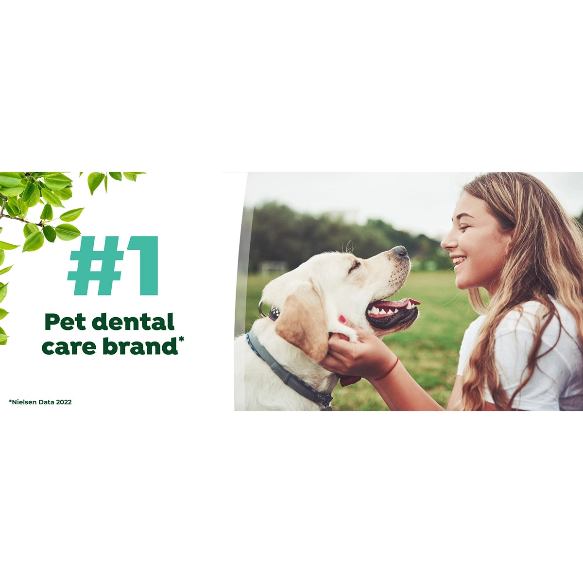 TropiClean Fresh Breath Mint Foam for Pets, 4.5oz