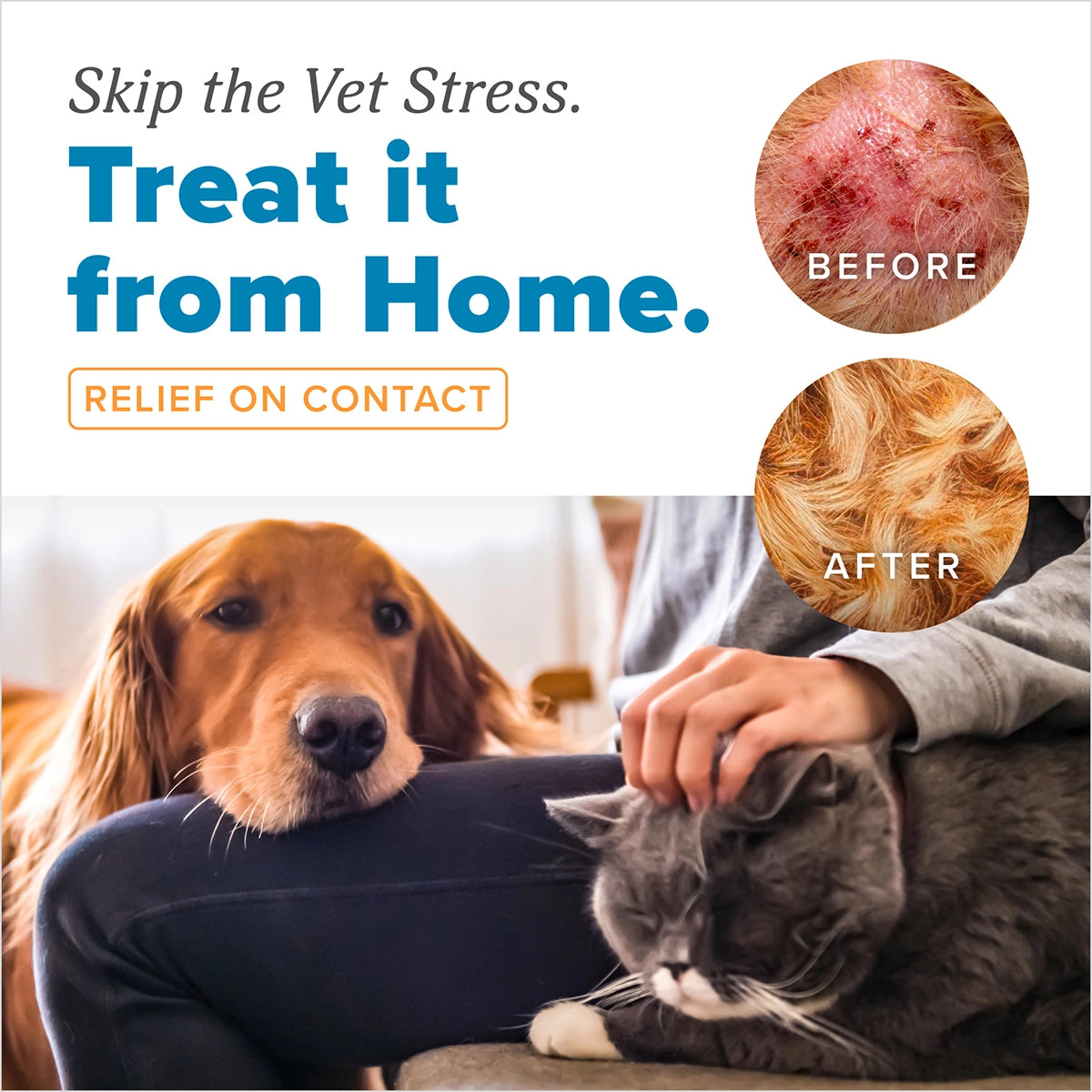 HomeVet Itch and Allergy Spray, 8oz