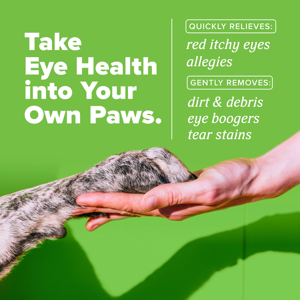 HomeVet Soothing Eye Wash, 4oz