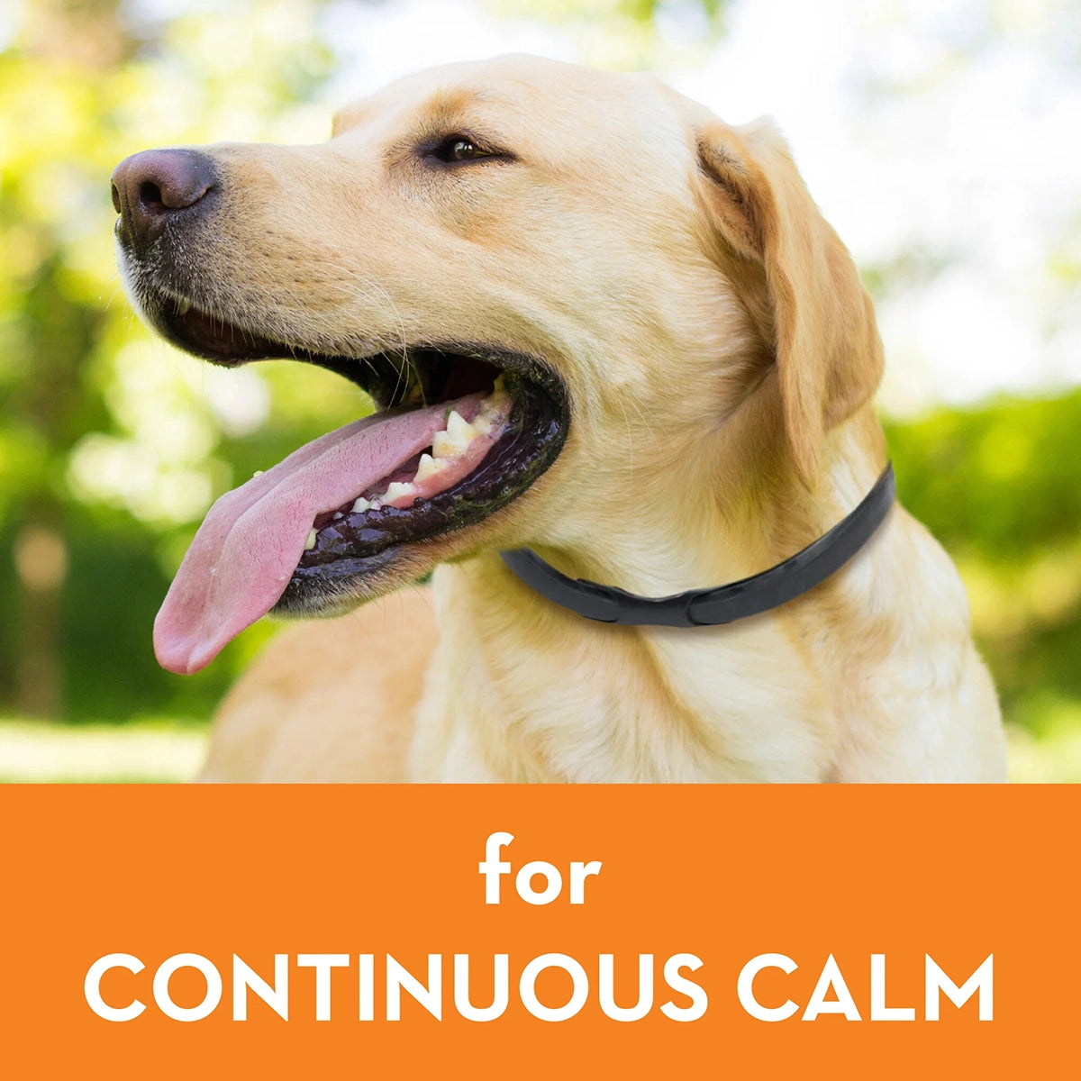 ThunderEase Dog Calming Collar L