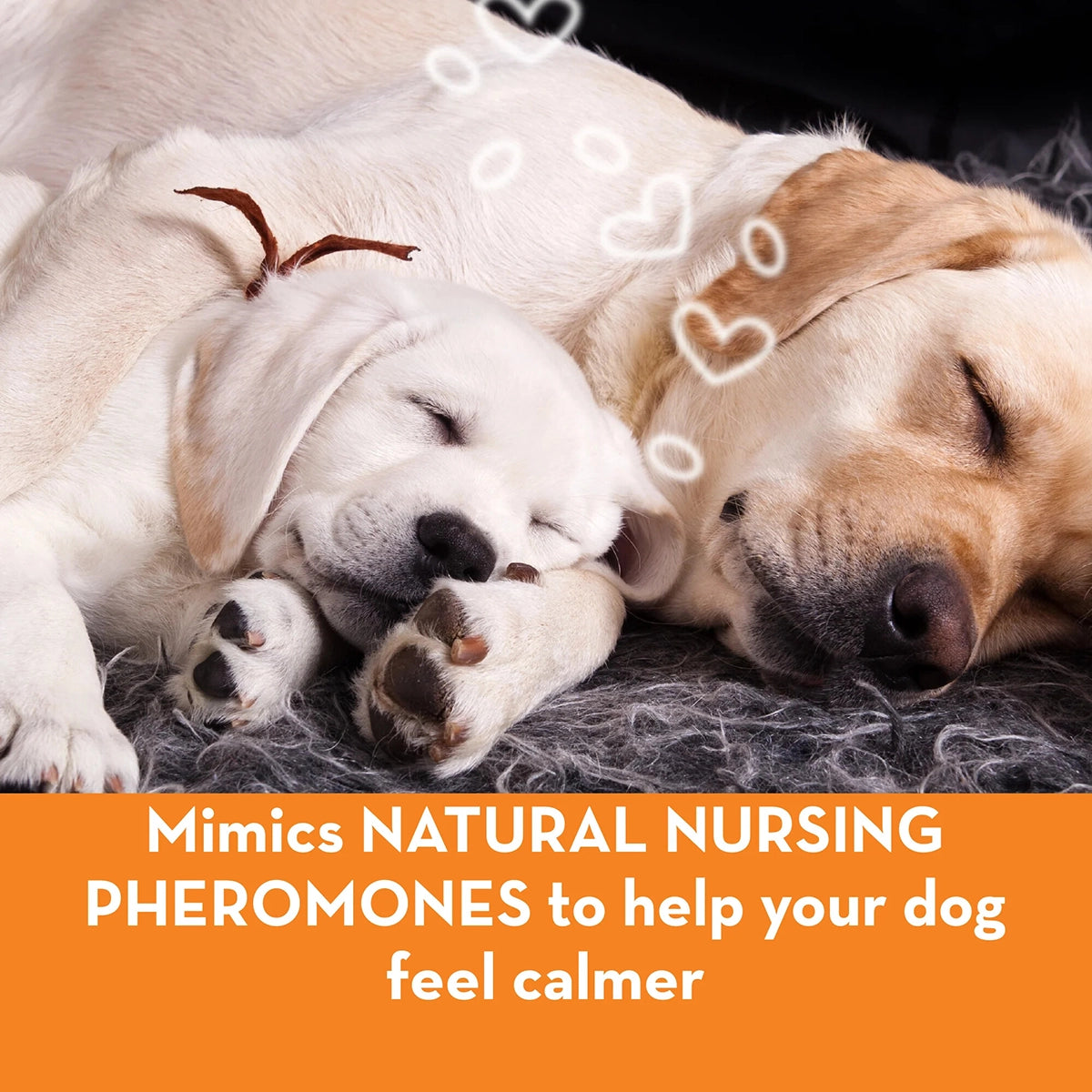 ThunderEase Dog Calming Collar L