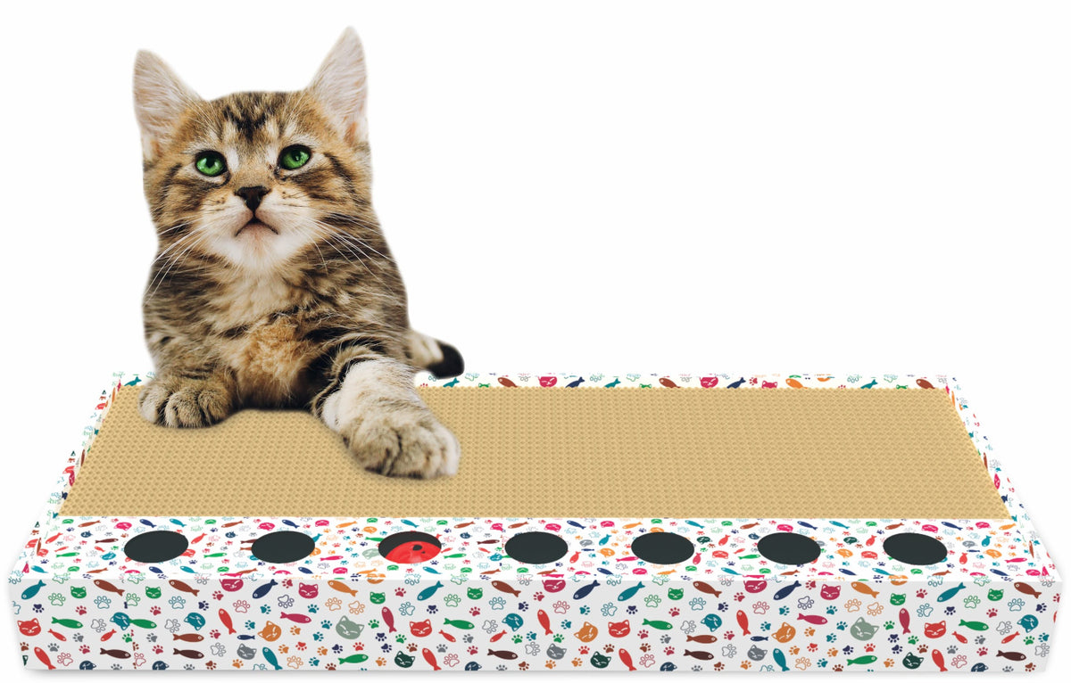 ThoozyPet Scratch & Play Cat Scratcher