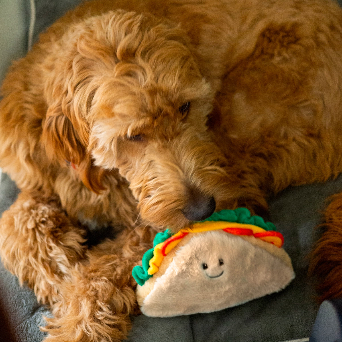 ThoozyPet Sandwich Dog Toy 8”