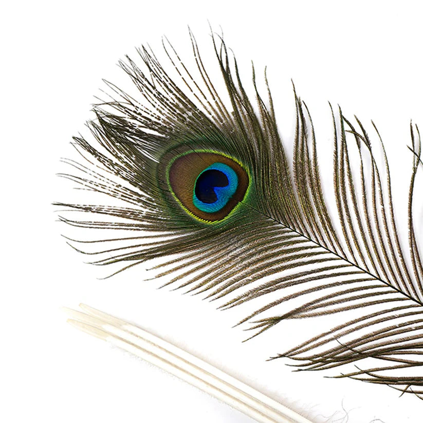 ThoozyPet Peacock Feather Cat Toy 25" - 35" Case of 100