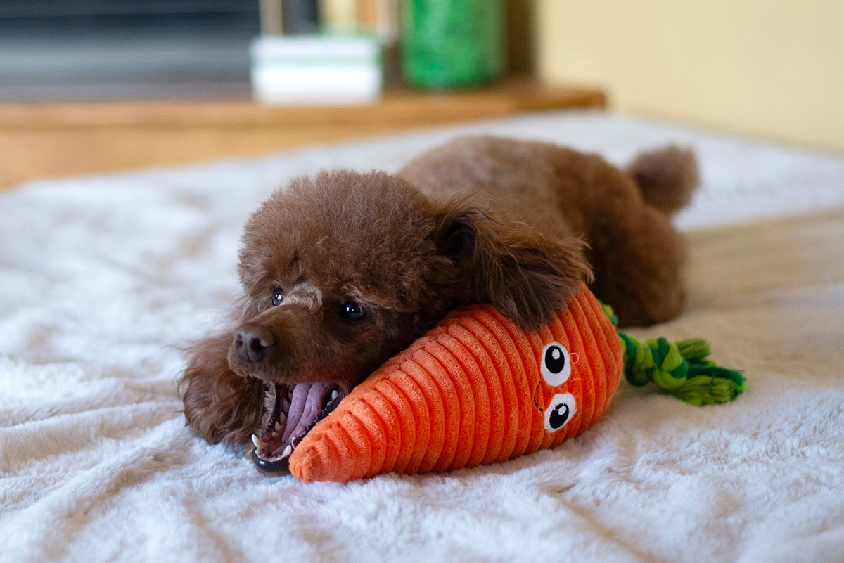 ThoozyPet Carrot Plush Dog Toy 10"