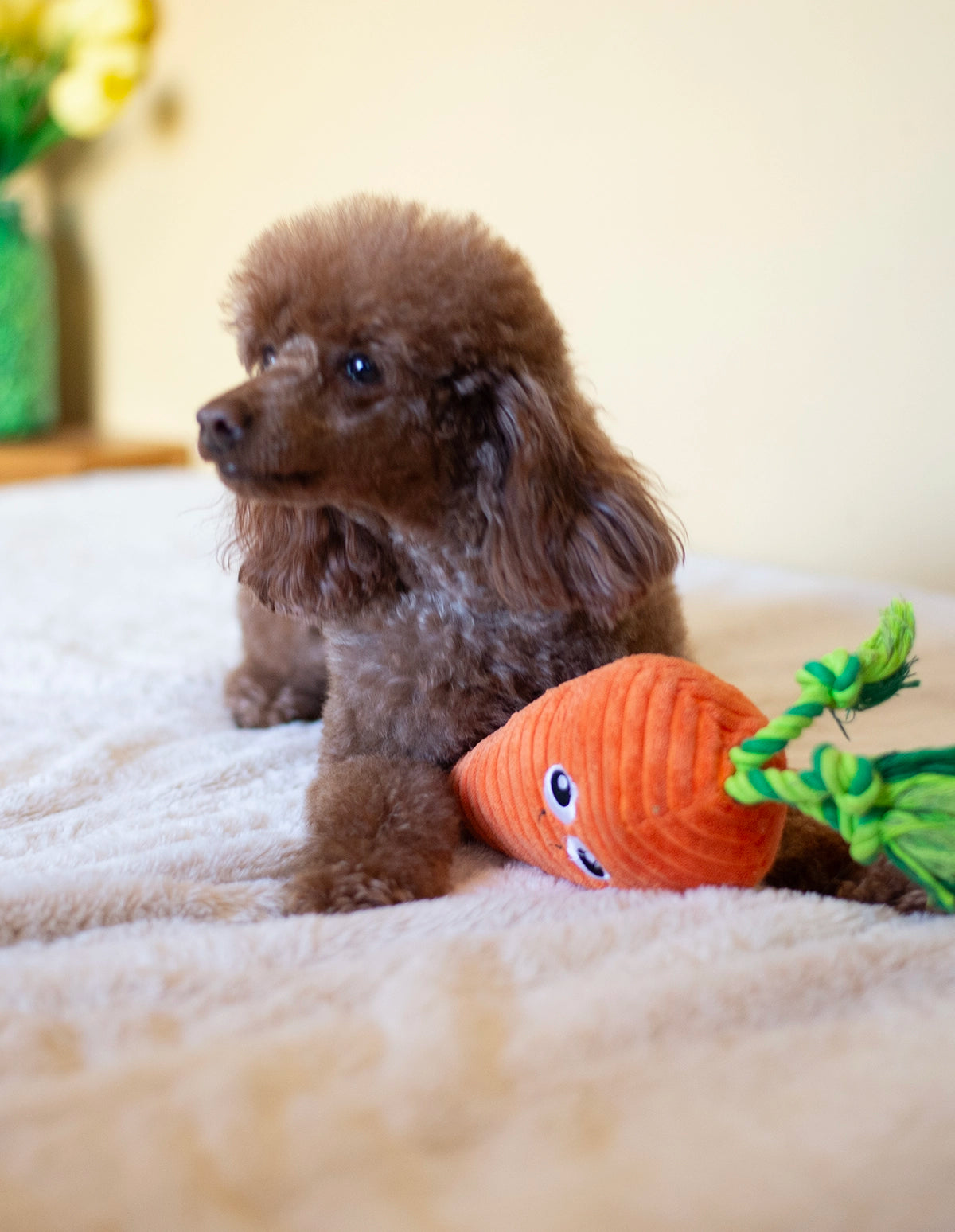 ThoozyPet Carrot Plush Dog Toy 10"