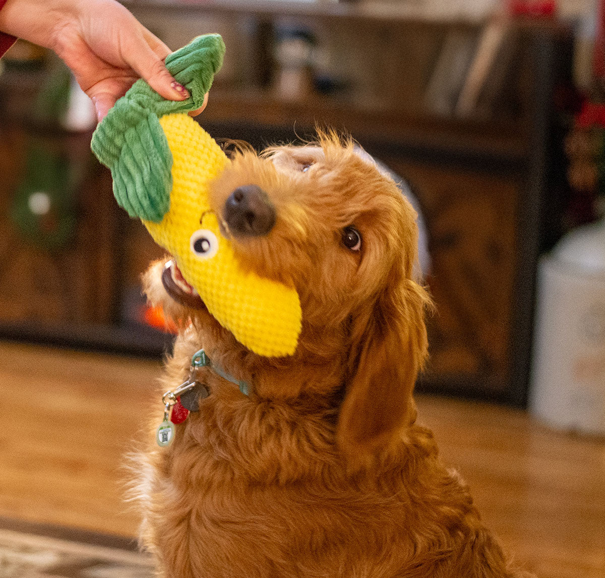 ThoozyPet Corn Plush Dog Toy 10"