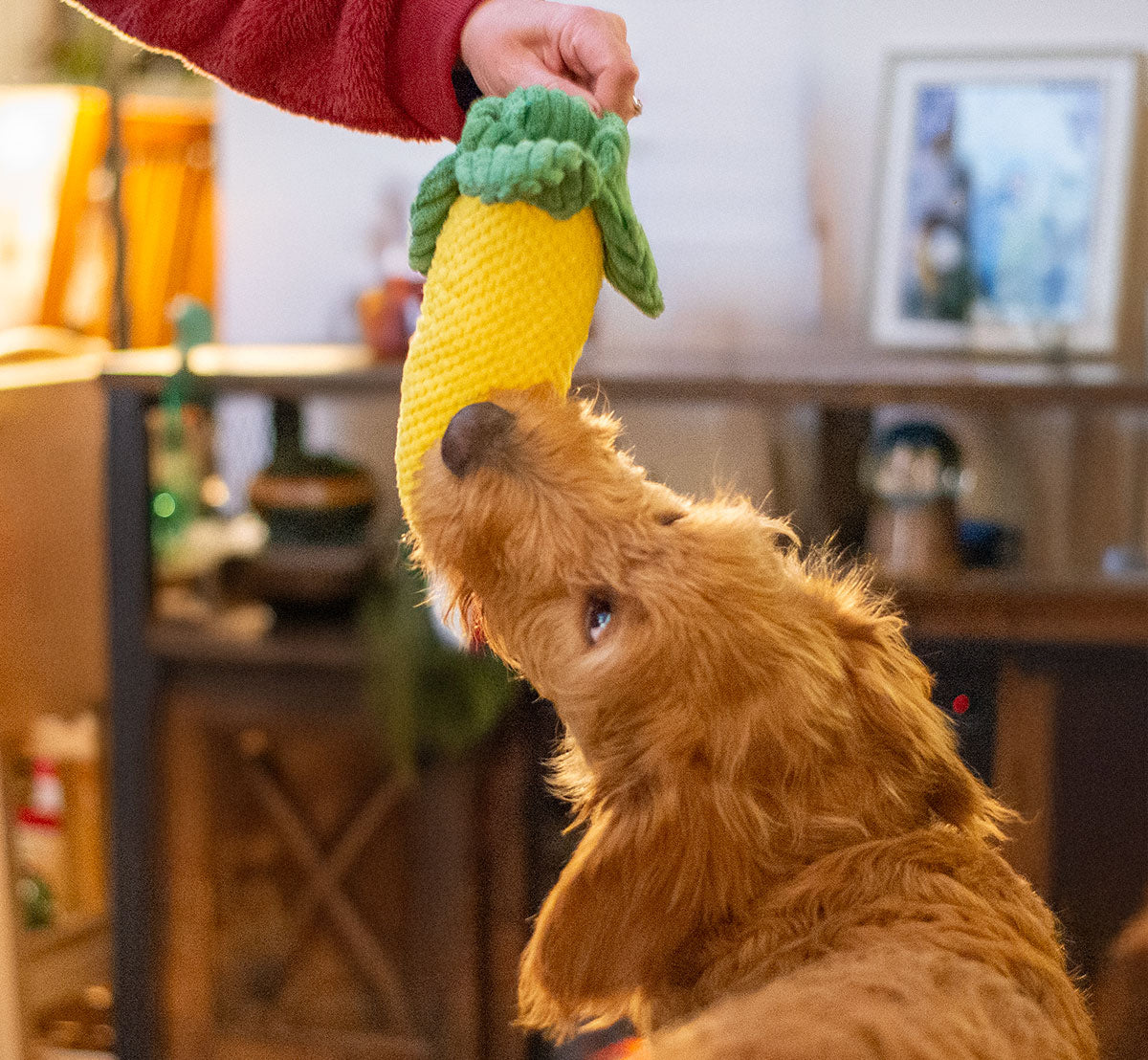 ThoozyPet Corn Plush Dog Toy 10"