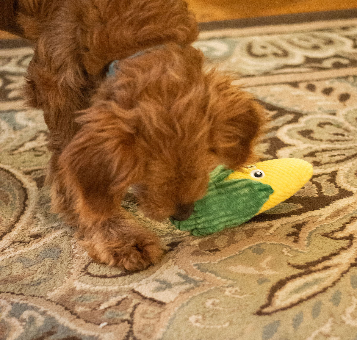 ThoozyPet Corn Plush Dog Toy 10"