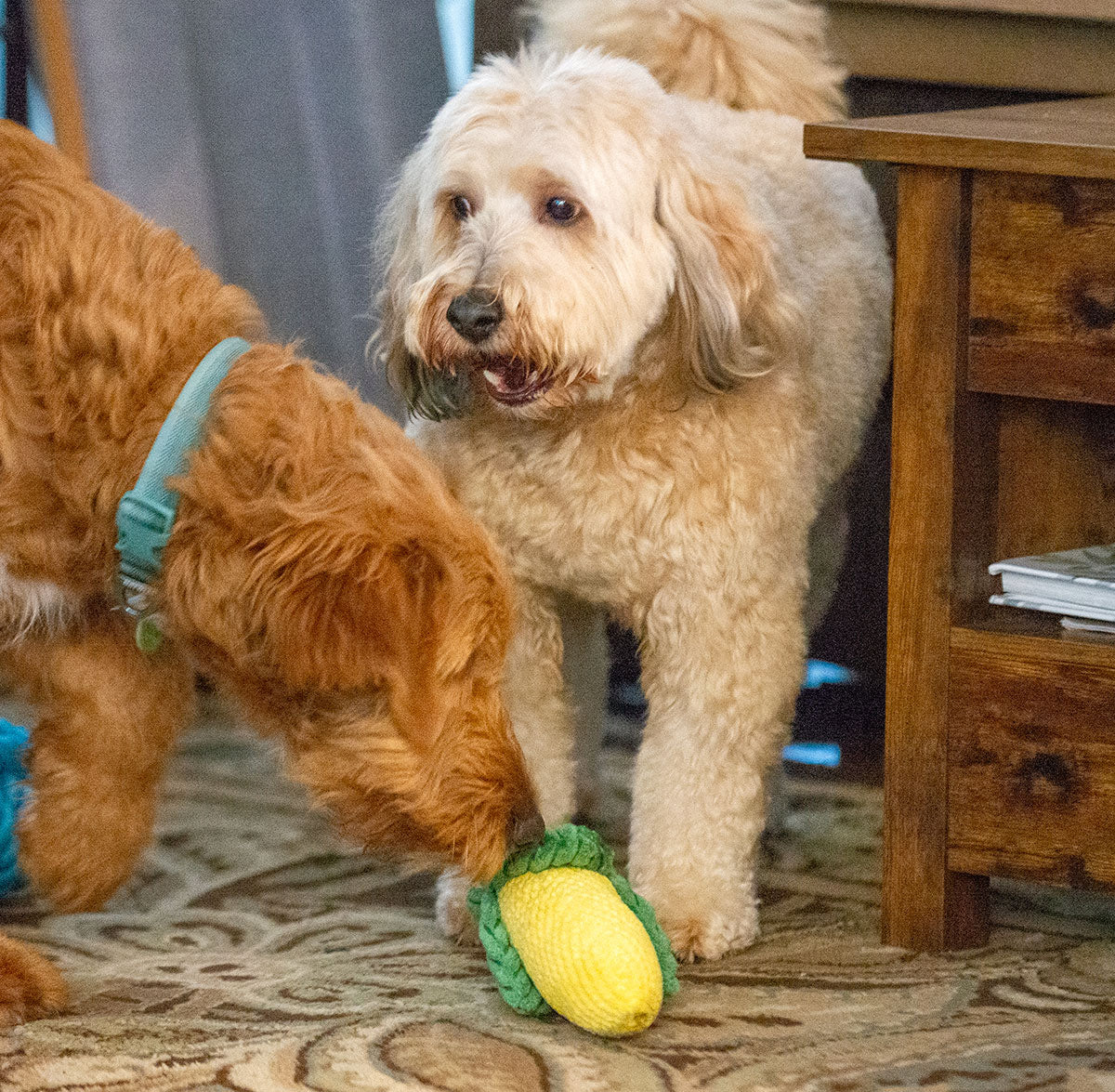 ThoozyPet Corn Plush Dog Toy 10"