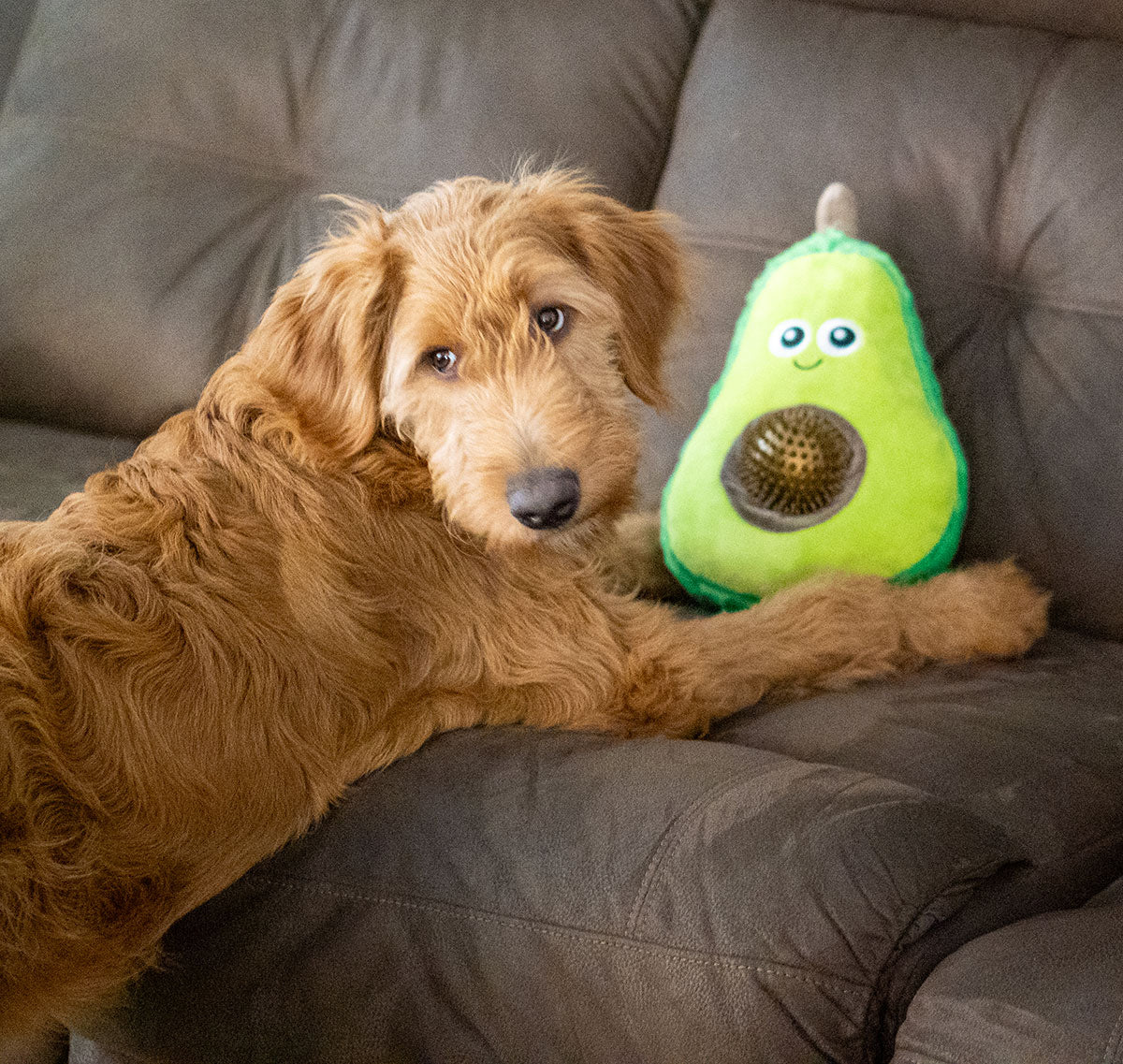 ThoozyPet Avocado Plush Dog Toy 11"