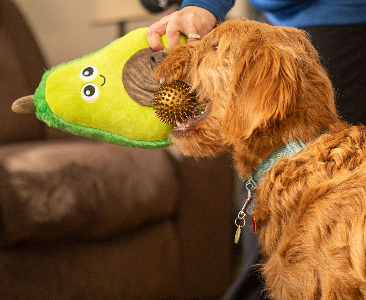 ThoozyPet Avocado Plush Dog Toy 11"