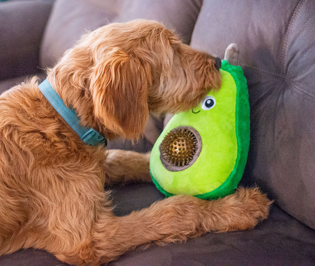 ThoozyPet Avocado Plush Dog Toy 11"